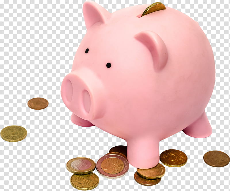 Piggy bank, Saving, Pink, Animal Figure, Money Handling, Domestic Pig, Snout, Suidae transparent background PNG clipart