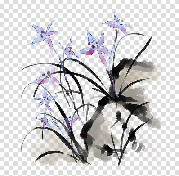 Drawing Of Family, Ink, Floral Design, Flower, Plant, Dendrobium, Petal, Lobelia transparent background PNG clipart