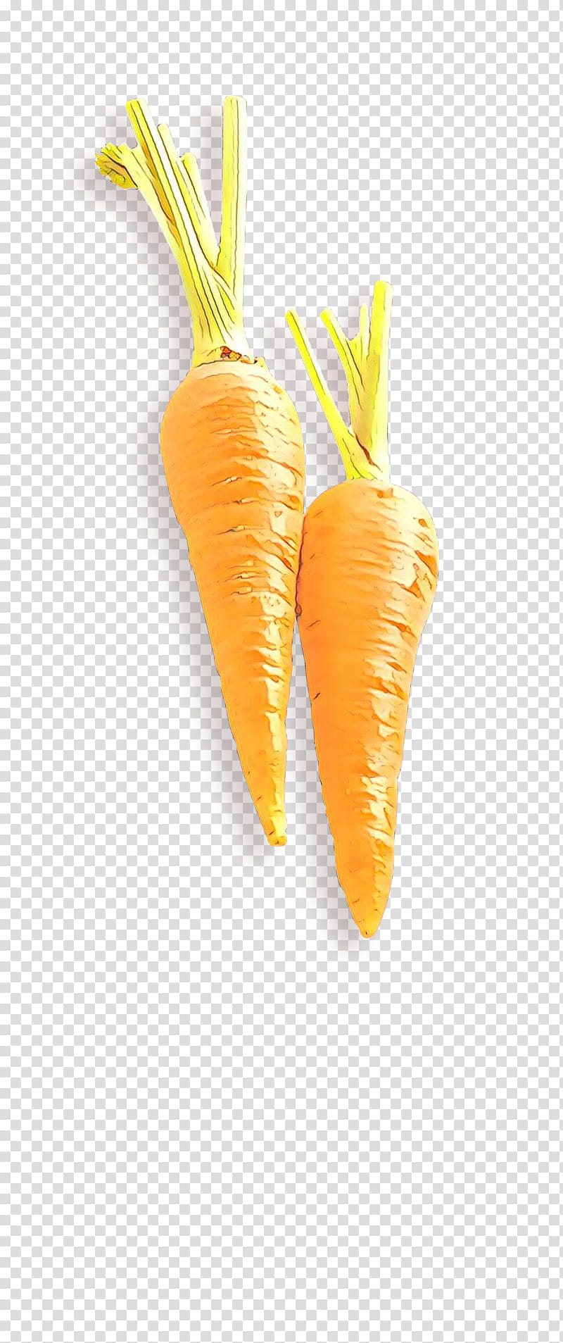 Orange, Cartoon, Carrot, Root Vegetable, Food, Yellow, Wild Carrot, Baby Carrot transparent background PNG clipart