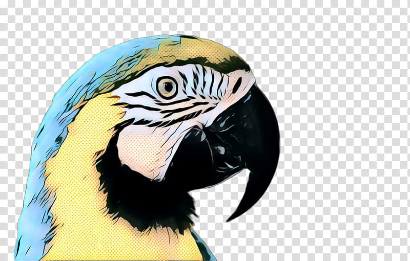 bird beak macaw wildlife parrot, Pop Art, Retro, Vintage, Parakeet, Piciformes transparent background PNG clipart