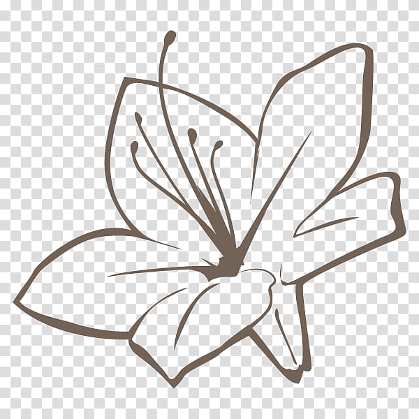 Black And White Flower, Kitakyushu, Japan Rugby Football Union, Lipovitan D Challenge Cup, Japan National Rugby Union Team, New Zealand National Rugby Union Team, World Rugby, Kenya Rugby Union transparent background PNG clipart