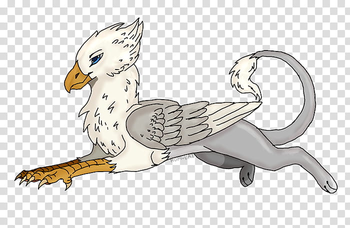 cartoon bird sketch drawing animation, Cartoon, Beak, Fictional Character, Tail transparent background PNG clipart