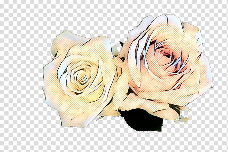 pop art retro vintage, Garden Roses, Cut Flowers, Flower Bouquet, Petal, White, Rose Family, Pink transparent background PNG clipart