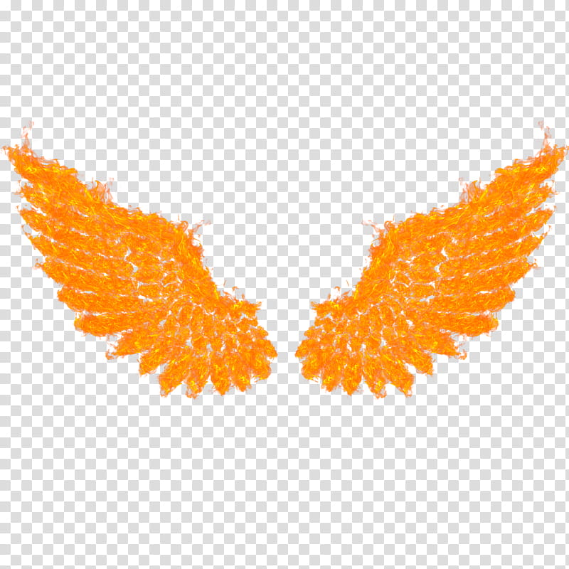 Fire Wings transparent background PNG clipart