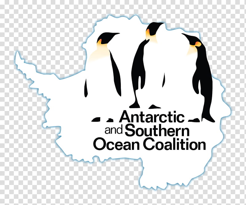 Bird Logo, Penguin, Antarctic And Southern Ocean Coalition, Label, Wedding Ring, Flightless Bird American Mouth, South Region Brazil, Text transparent background PNG clipart