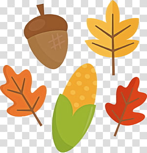 leaf tree plant transparent background PNG clipart thumbnail