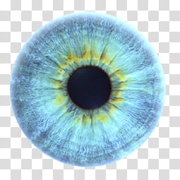 Iris , blue eye illustration transparent background PNG clipart