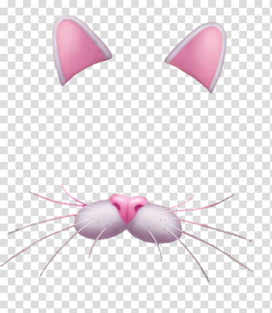 snapchat Filters Filtros o efectos de Snapchat, pink cat ears art transparent background PNG clipart