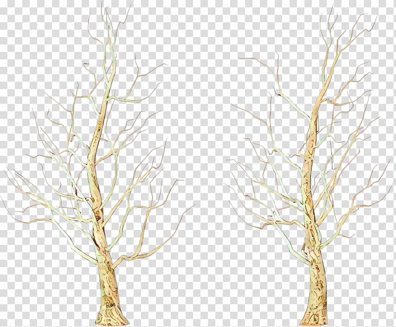 Plane, Branch, White, Tree, Twig, Plant, Woody Plant, Grass transparent background PNG clipart