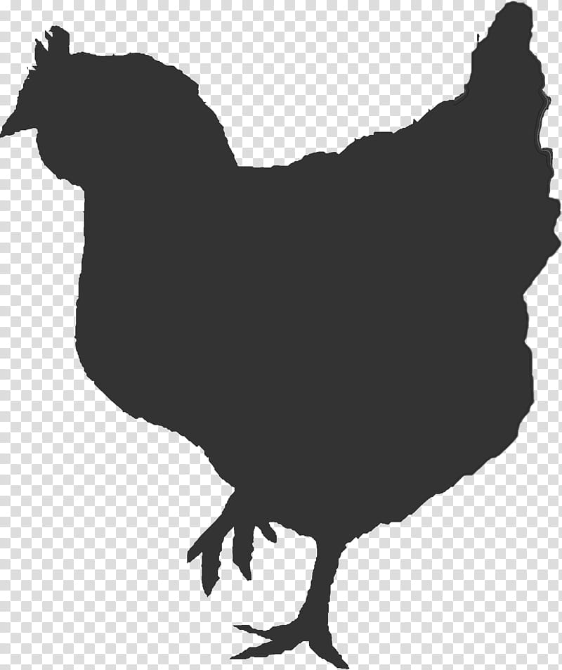 Egg, Rooster, Chicken, Broiler, Chicken As Food, Poultry, Meat, Silhouette transparent background PNG clipart
