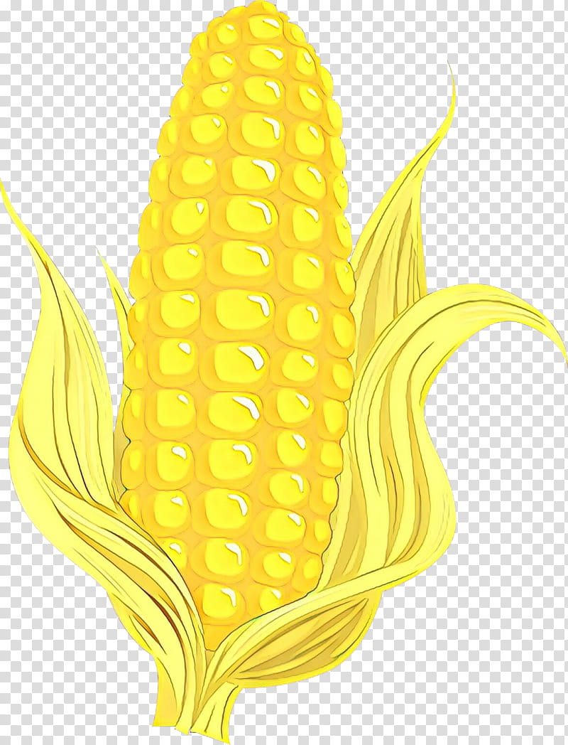 corn on the cob corn yellow sweet corn plant, Cartoon, Vegetarian Food, Corn Kernels transparent background PNG clipart