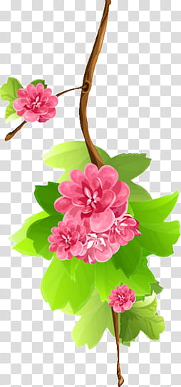 flower, pink flowers with green leaves transparent background PNG clipart