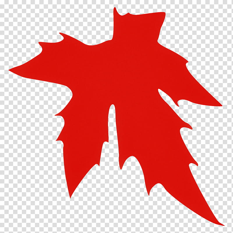 maple leaf autumn leaf fall leaf, Tree, Red, Woody Plant, Holly, Plane transparent background PNG clipart