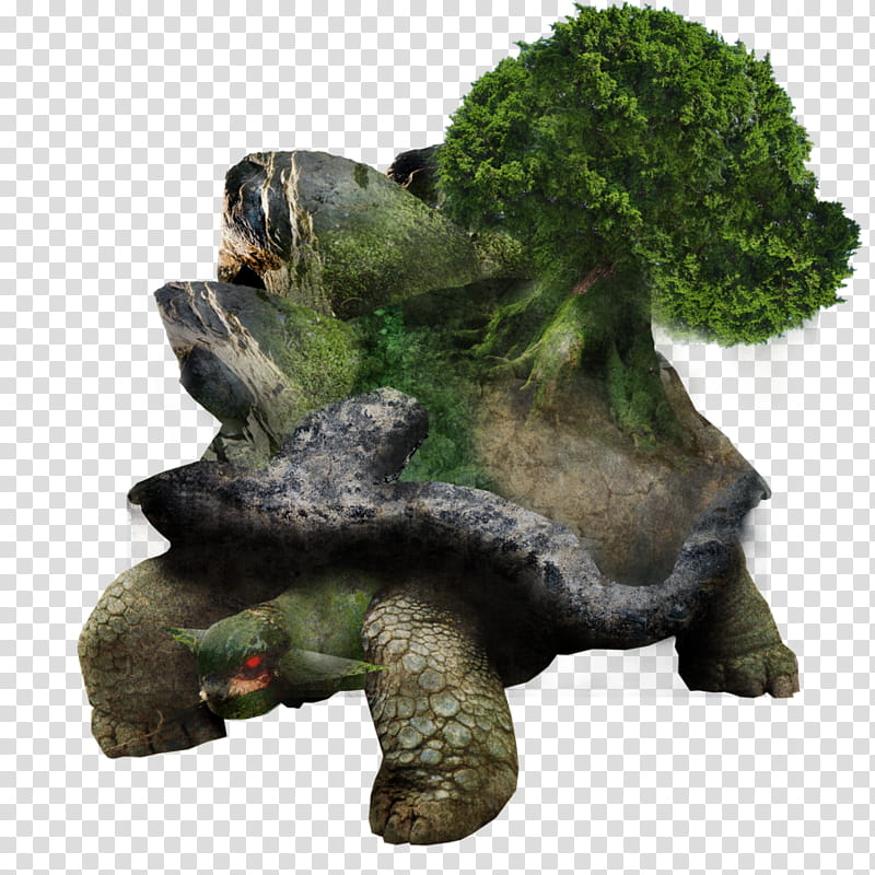 Tree Stump, Trunk, Yellowpagescom, Torterra, Video Games, Arm, Giant Tortoise, Hand transparent background PNG clipart