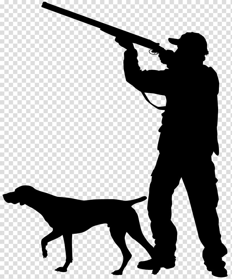 dog duck hunting clipart