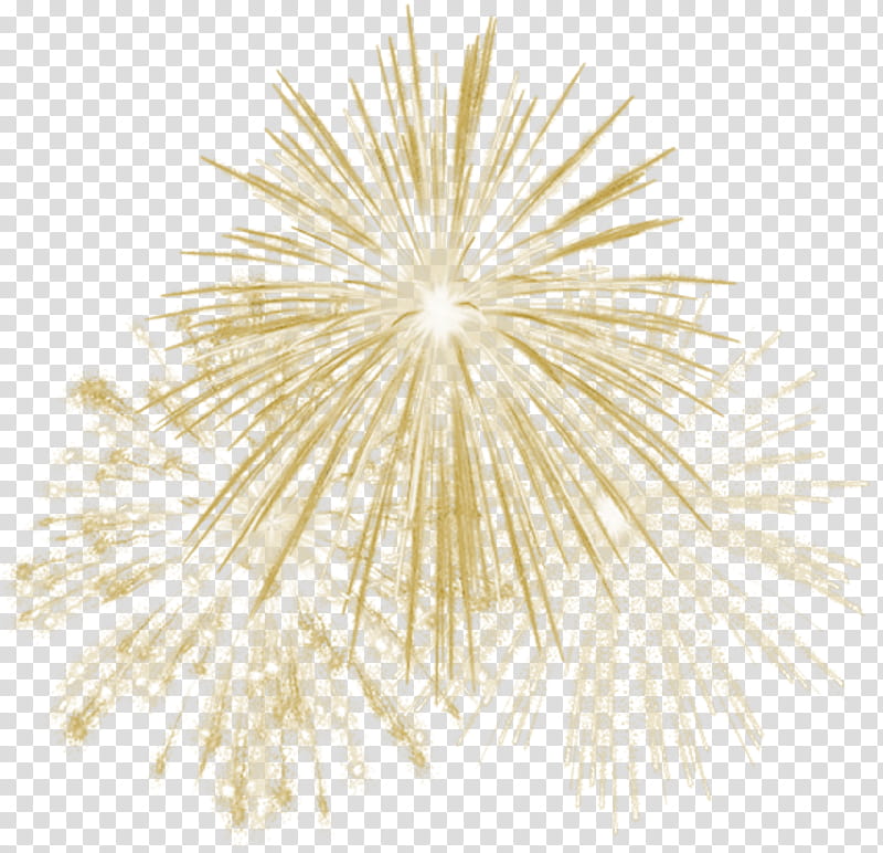 New Year Party, Fireworks, Gold, White, Plant, Dandelion, Pompom, Flower transparent background PNG clipart