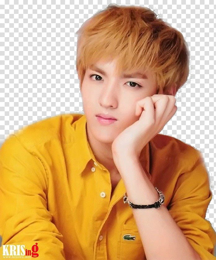 Kris Exo transparent background PNG clipart