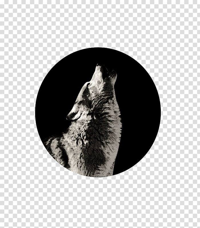 misc texture X, howling wolf transparent background PNG clipart