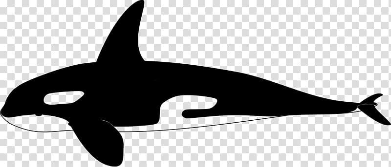 Shark Fin, Porpoise, Whales, Cetaceans, Line, Silhouette, Dolphin, Fish transparent background PNG clipart