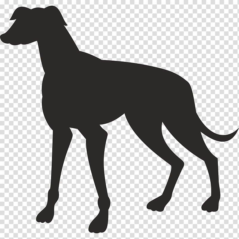 Sighthounds Decal - Whippet - Greyhound - Galgo - Barzoi