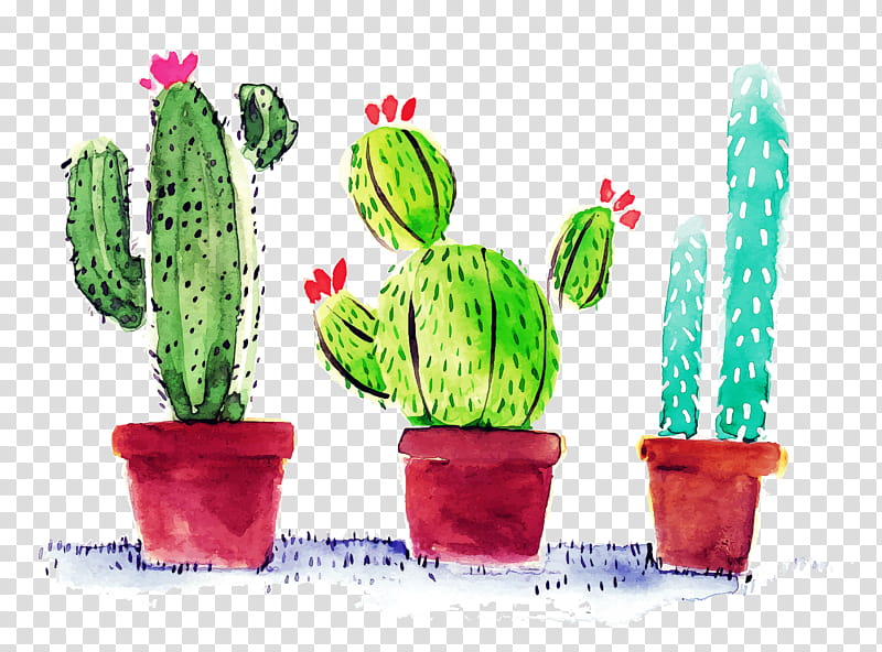 Cactus, Plant, Flowerpot, Saguaro, Succulent Plant, Caryophyllales, Houseplant, Hedgehog Cactus transparent background PNG clipart