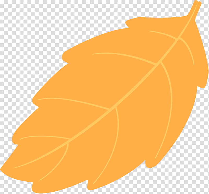 autumn leaf fallen leaf dead leaf, Orange, Tree, Plant, Peruvian Groundcherry, Deciduous transparent background PNG clipart