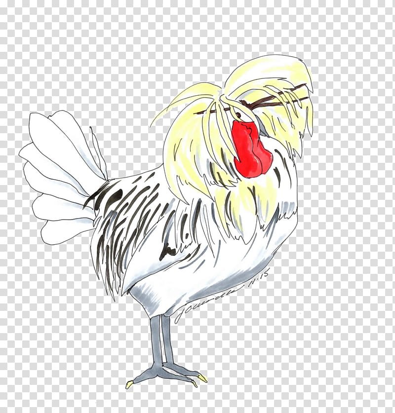 Bird Line Drawing, Chicken, Goose, Cygnini, Duck, Line Art, Water Bird, Cartoon transparent background PNG clipart