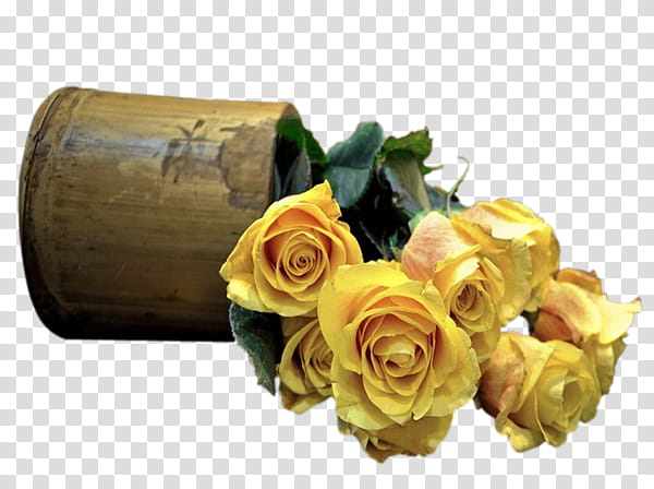 Floral Flower, Rose, Floral Design, Television, Vase, Flower Bouquet, 169 Aspect Ratio, Yellow transparent background PNG clipart