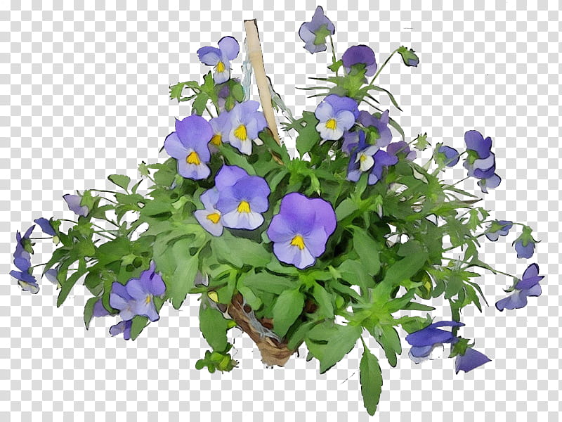 Purple Watercolor Flower, Paint, Wet Ink, Artificial Flower, Plants, Houseplant, Ficus Umbellata, Annual Plant transparent background PNG clipart