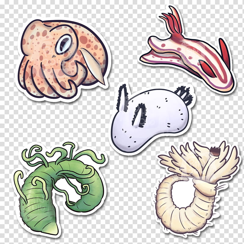 Fish, Ear, Animal Figure, Flatworm transparent background PNG clipart