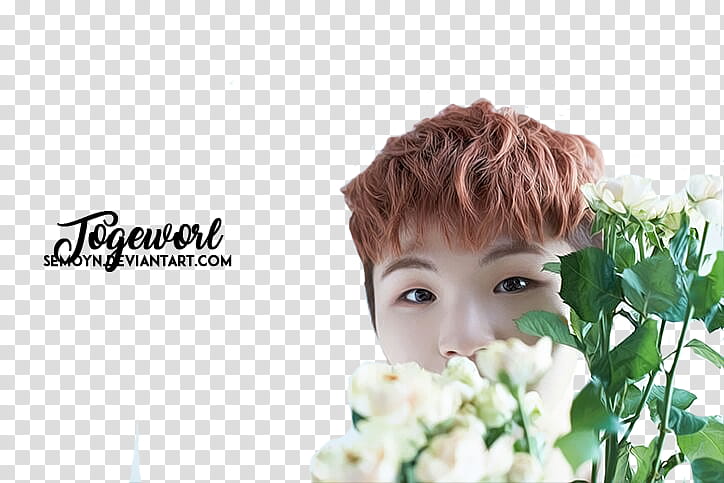 SEVENTEEN TEEN AGE WHITE TEASER, man covering his face with flower transparent background PNG clipart