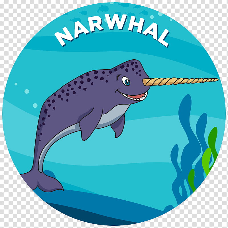 Great White Shark, Killer Whale, Narwhal, Drawing, Shortfin Mako Shark, Tiger Shark, Silhouette, Cartoon transparent background PNG clipart