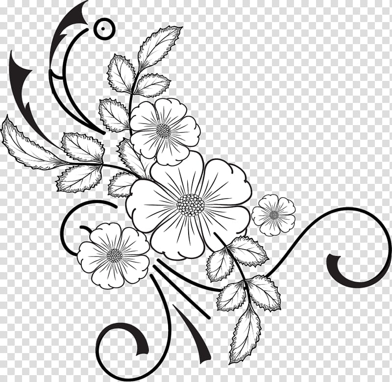 Flowers Brushes, white flower illustration transparent background PNG clipart