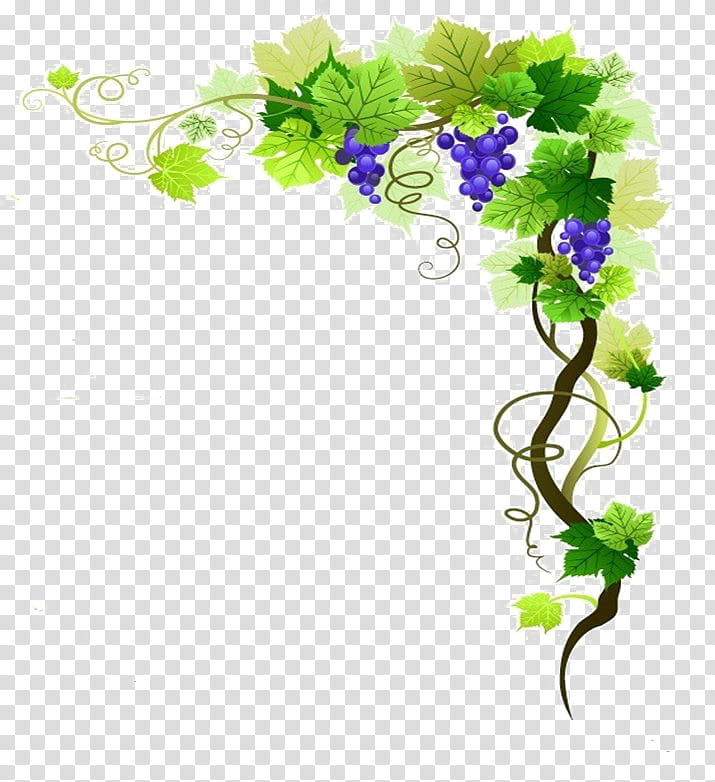 Vintage Flowers Frame, Common Grape Vine, Wine, Grape Leaves, Wall Frame, Frames, Grapevines, Plant transparent background PNG clipart