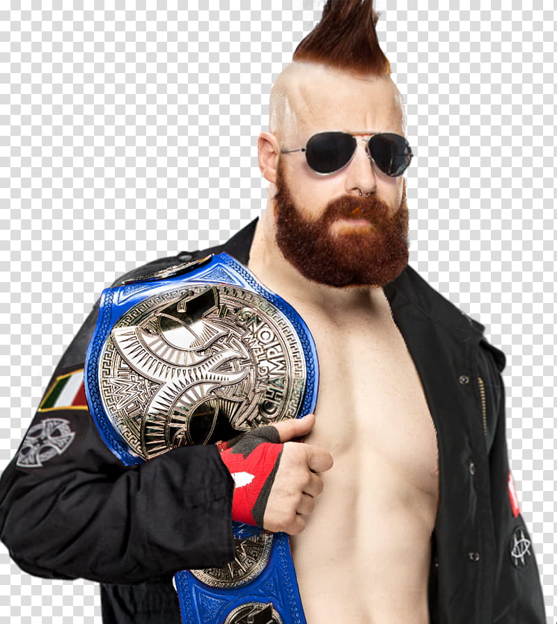 Sheamus Sd Tag Team Champion  transparent background PNG clipart