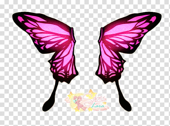 Alas de mariposa, color rosa