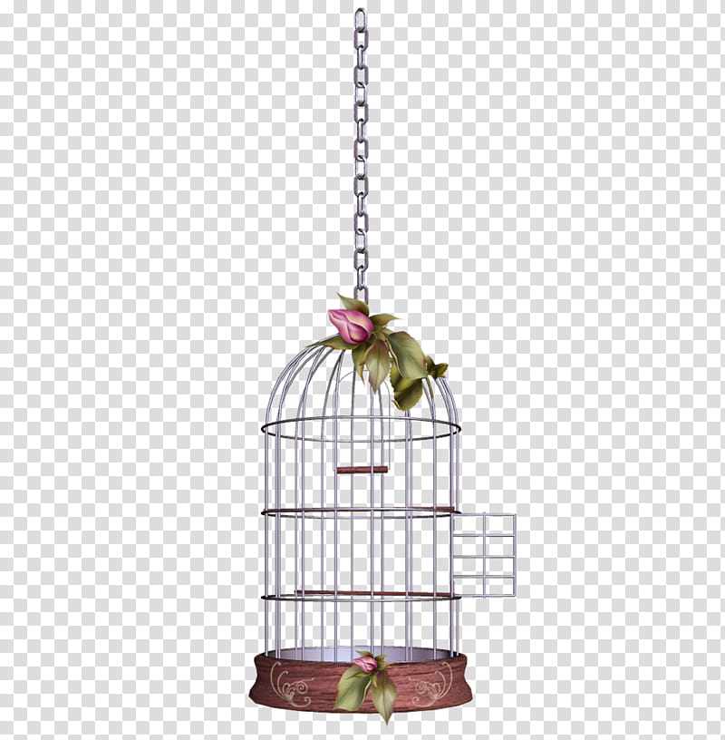 opened hanging birdcage transparent background PNG clipart
