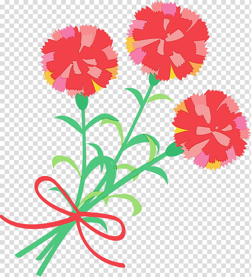 flower cut flowers plant tagetes carnation, Mothers Day Carnation, Mothers Day Flower, Watercolor, Paint, Wet Ink, Pedicel, Plant Stem transparent background PNG clipart