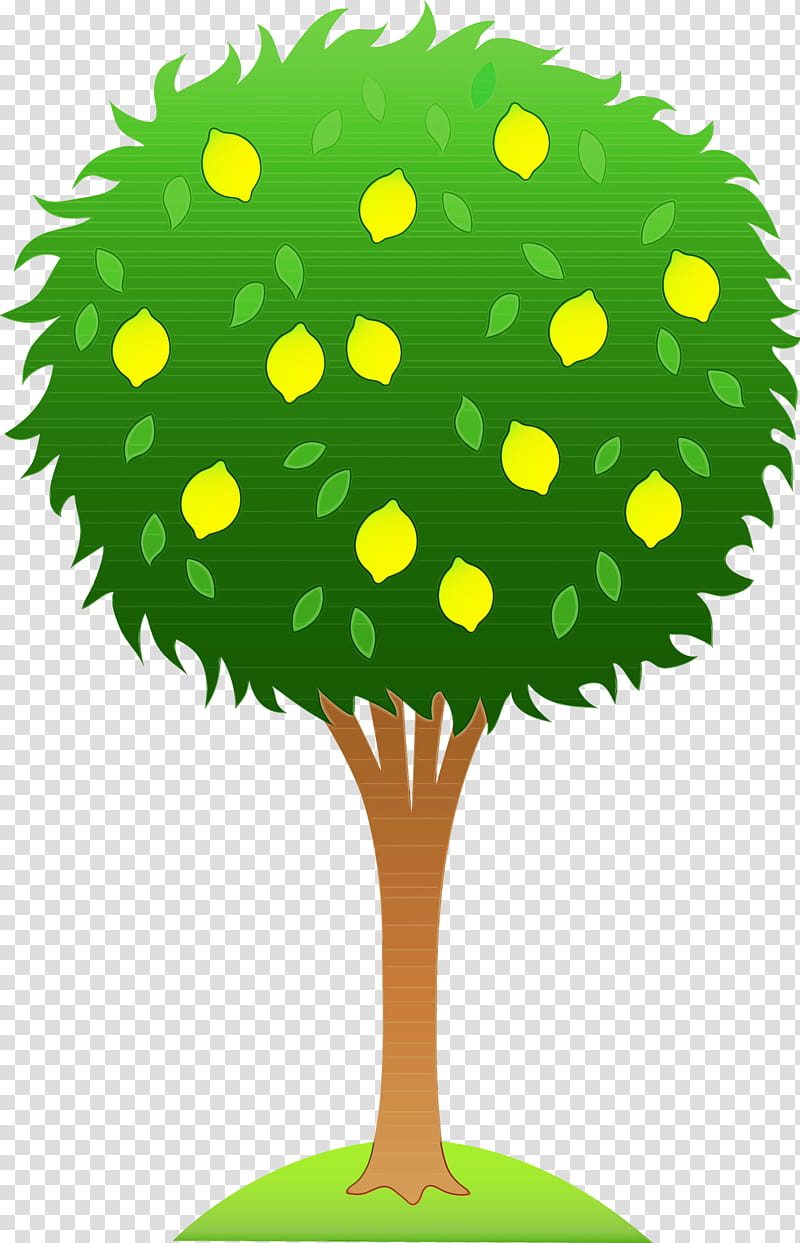 Christmas Tree Silhouette, Shrub, Cartoon, Lemon, Drawing, Green, Plant transparent background PNG clipart
