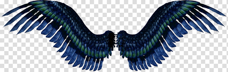 blue wings illustration transparent background PNG clipart