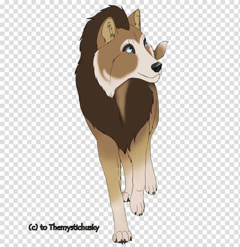 Coon transparent background PNG clipart