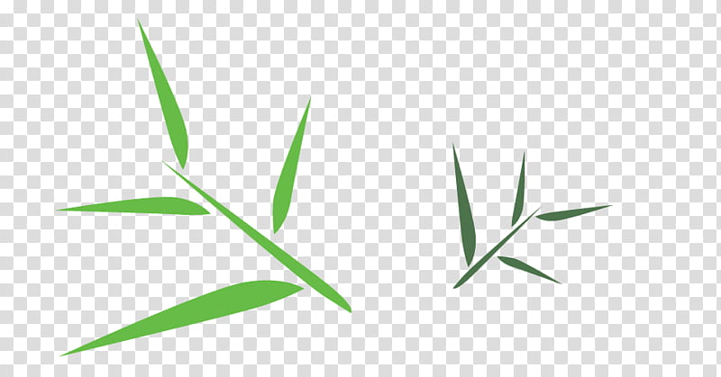 Bamboo Leaf, Grasses, Plant, Grass Family, Elymus Repens, Flower, Plant Stem transparent background PNG clipart