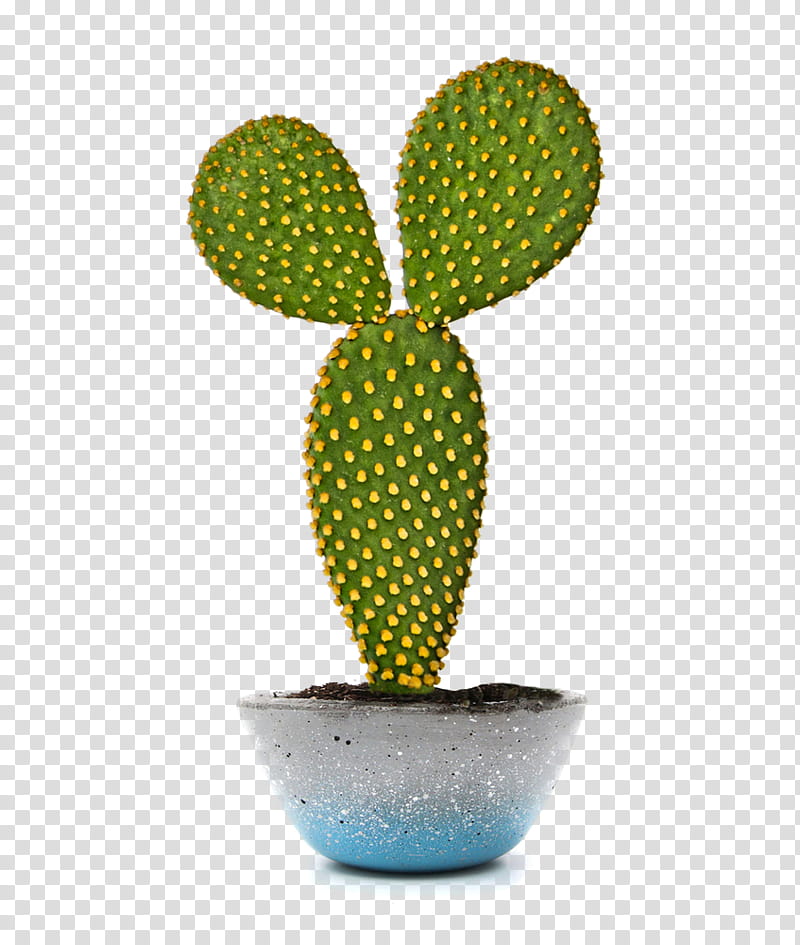 Cactuses and Plants, red cactus plant potted on white pot transparent background PNG clipart