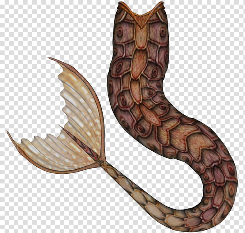 brown mer tails, brown and black mermaid tail transparent background PNG clipart