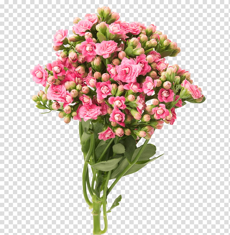 Background Family Day, Cut Flowers, Floral Design, Flower Bouquet, Garden Roses, Floristry, Vase Life, Teleflora transparent background PNG clipart