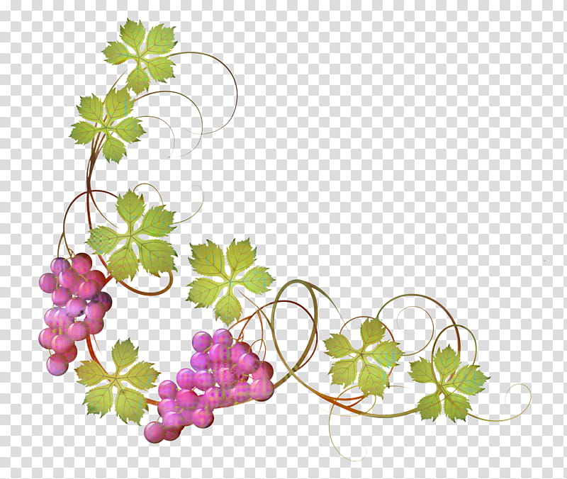 Floral Flower, Common Grape Vine, Wine, Red Wine, White Wine, Grape Leaves, Isabella, Vineyard transparent background PNG clipart