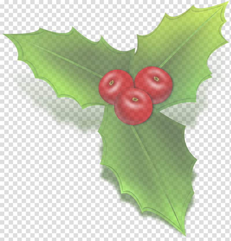 Holly, Leaf, Green, Plant, Tree, Flower, Hollyleaf Cherry transparent background PNG clipart