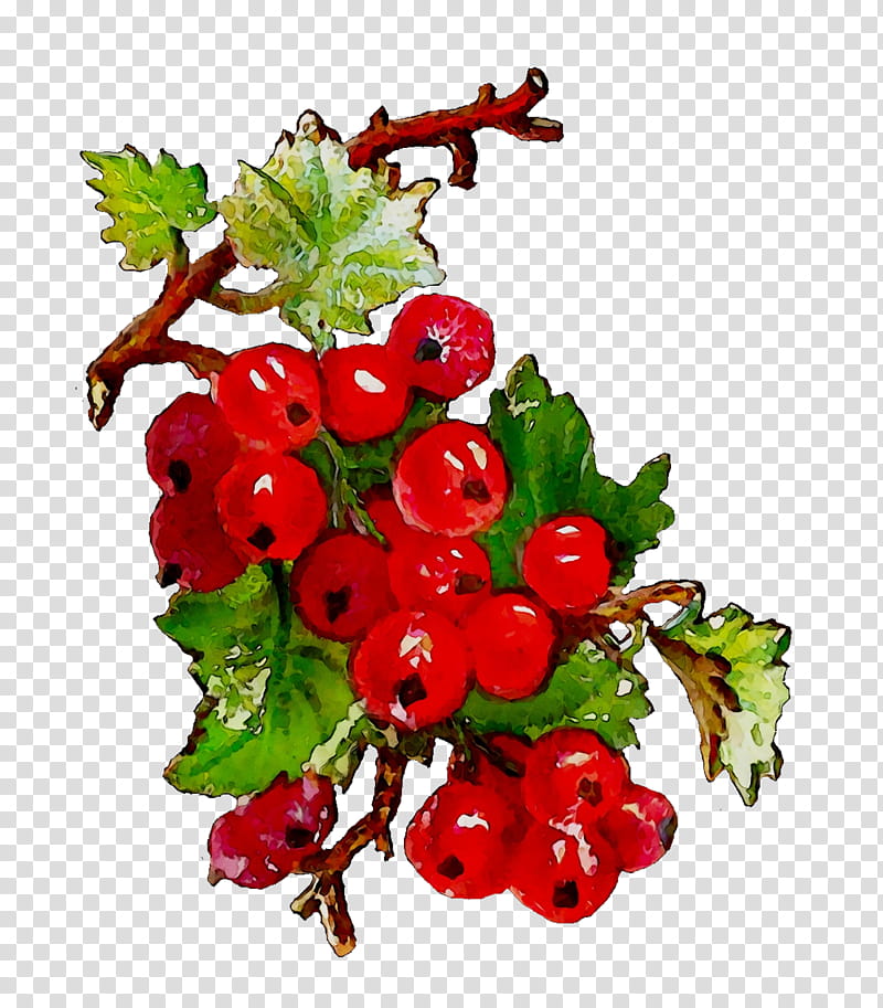 Strawberry, Gooseberry, Zante Currant, Crataegus Pinnatifida, Pink Peppercorn, Cranberry, Berries, Stxea Nr Eur transparent background PNG clipart