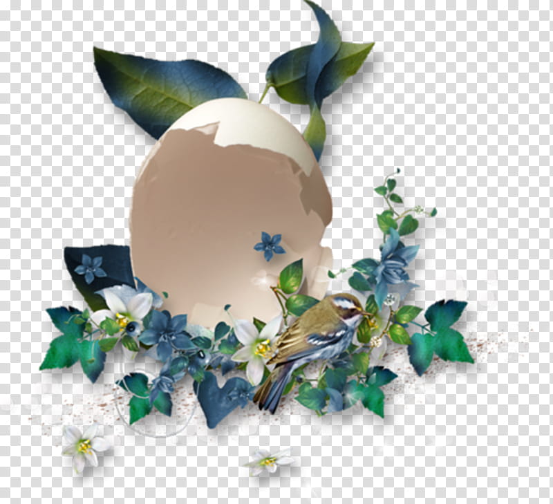 Flowers, Blog, Leaf, Blue Rose, Cut Flowers, Ivy, Plant, Holly transparent background PNG clipart
