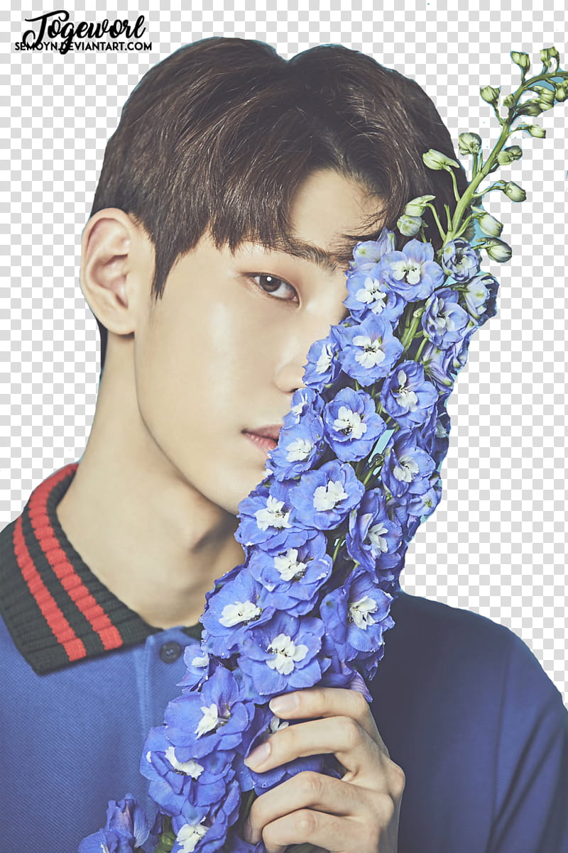 VAV FLOWER, man holding blue flowers transparent background PNG clipart